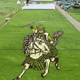 Image for article titled Japan's Amazing Rice Paddy Art Continues to Dazzle